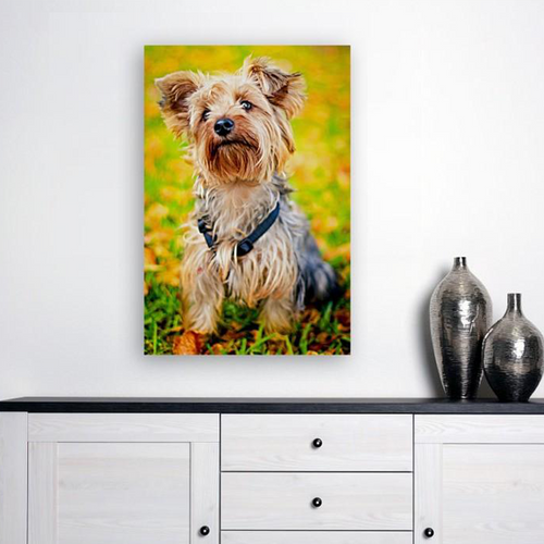 ANI-10 Natural World Dog Print Wall Art Décor Picture Framed