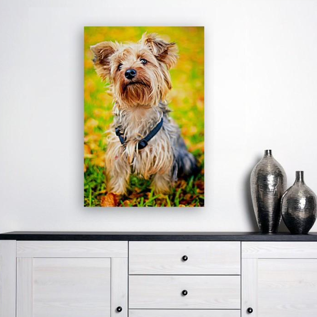 ANI-10 Natural World Dog Print Wall Art Décor Picture Framed