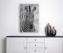 Load image into Gallery viewer, ANI-11 Natural World Zebra Print Wall Art Décor Picture Framed
