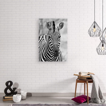 Load image into Gallery viewer, ANI-11 Natural World Zebra Print Wall Art Décor Picture Framed
