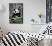 Load image into Gallery viewer, ANI-14 Natural World Panda Print Wall Art Décor Picture Framed
