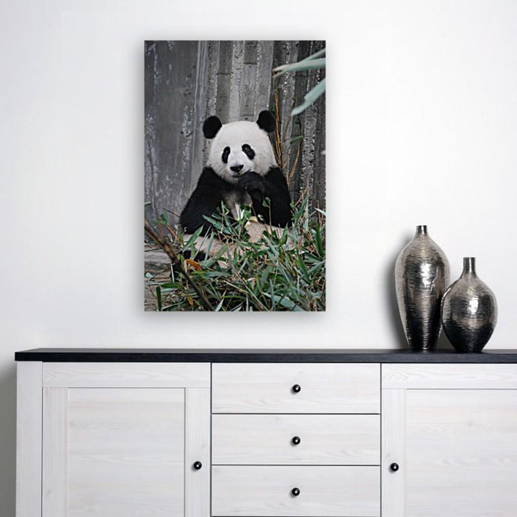 ANI-14 Natural World Panda Print Wall Art Décor Picture Framed