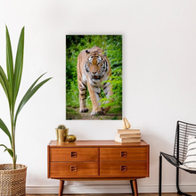 Load image into Gallery viewer, ANI-15 Natural World Tiger Print Wall Art Décor Picture Framed
