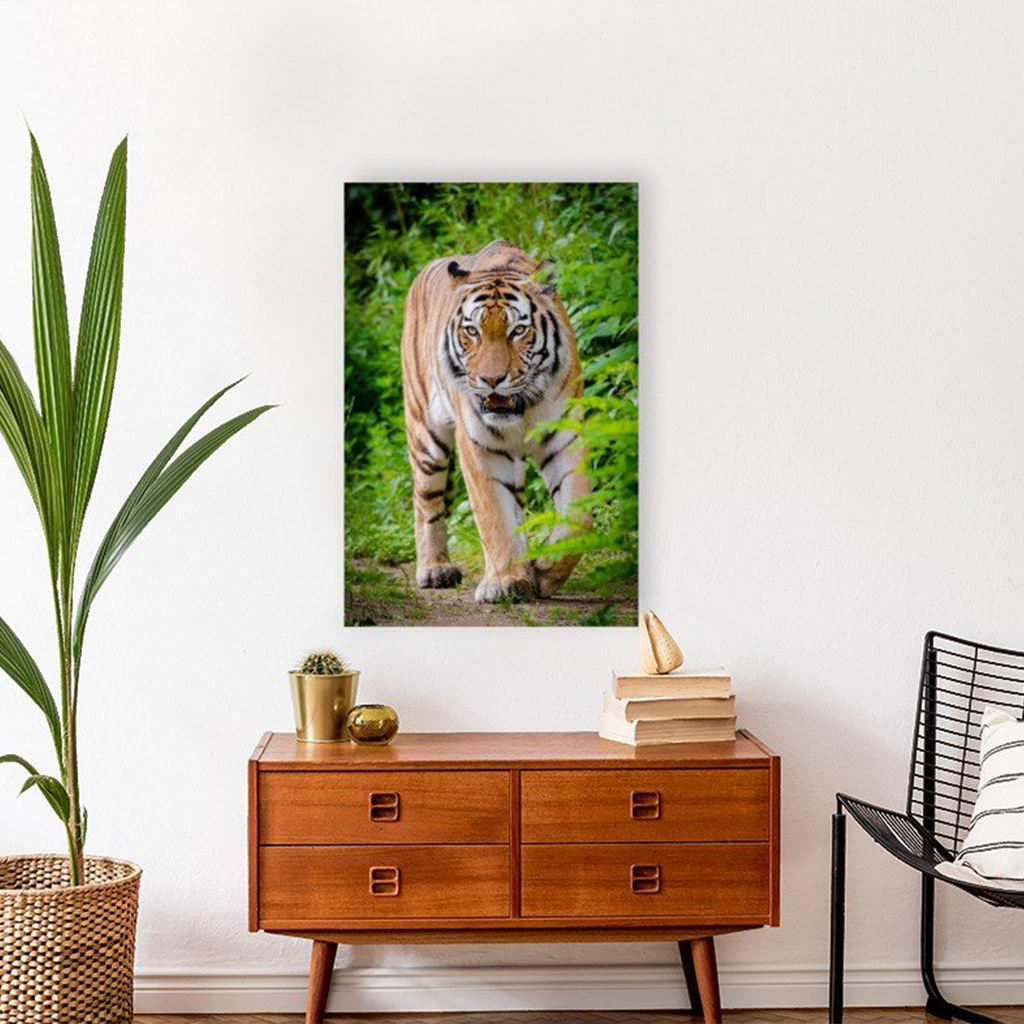ANI-15 Natural World Tiger Print Wall Art Décor Picture Framed