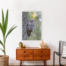 Load image into Gallery viewer, ANI-17 Natural World Ural Owl Print Wall Art Décor Picture Framed

