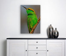 Load image into Gallery viewer, ANI-19 Natural World European Bee-Eater Print Wall Art Décor Picture Framed
