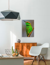 Load image into Gallery viewer, ANI-19 Natural World European Bee-Eater Print Wall Art Décor Picture Framed
