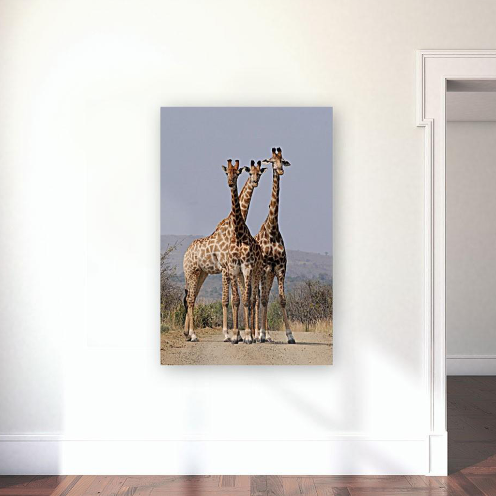 ANI-20 Natural World Giraffes Wild Animal Print Wall Art Décor Picture Framed