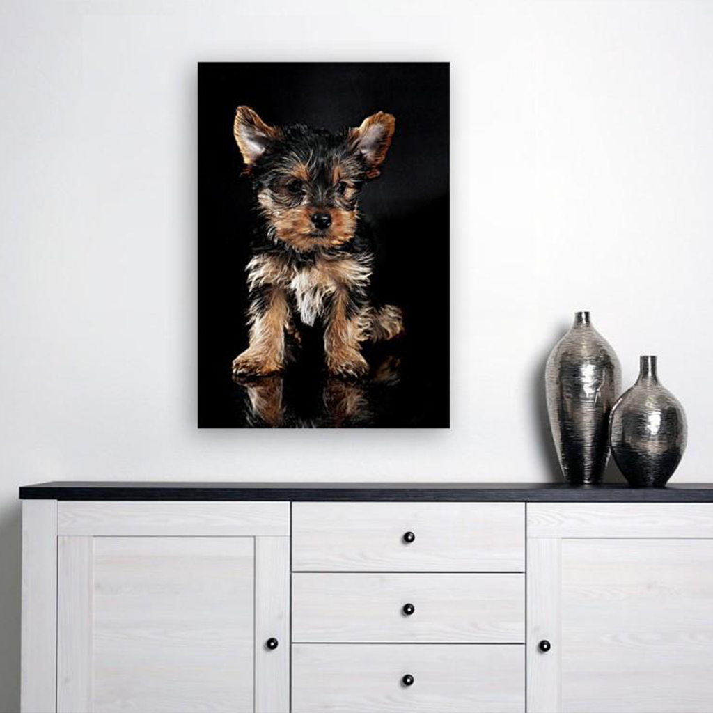 ANI-21 Natural World Dog Print Wall Art Décor Picture Framed
