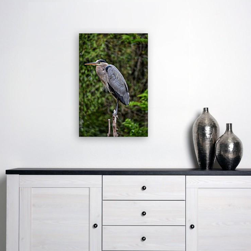 ANI-22 Natural World Great Blue Heron Print Wall Art Décor Picture Framed