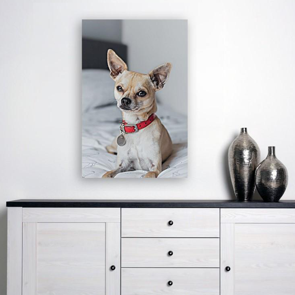 ANI-24 Natural World Dog Print Wall Art Décor Picture Framed