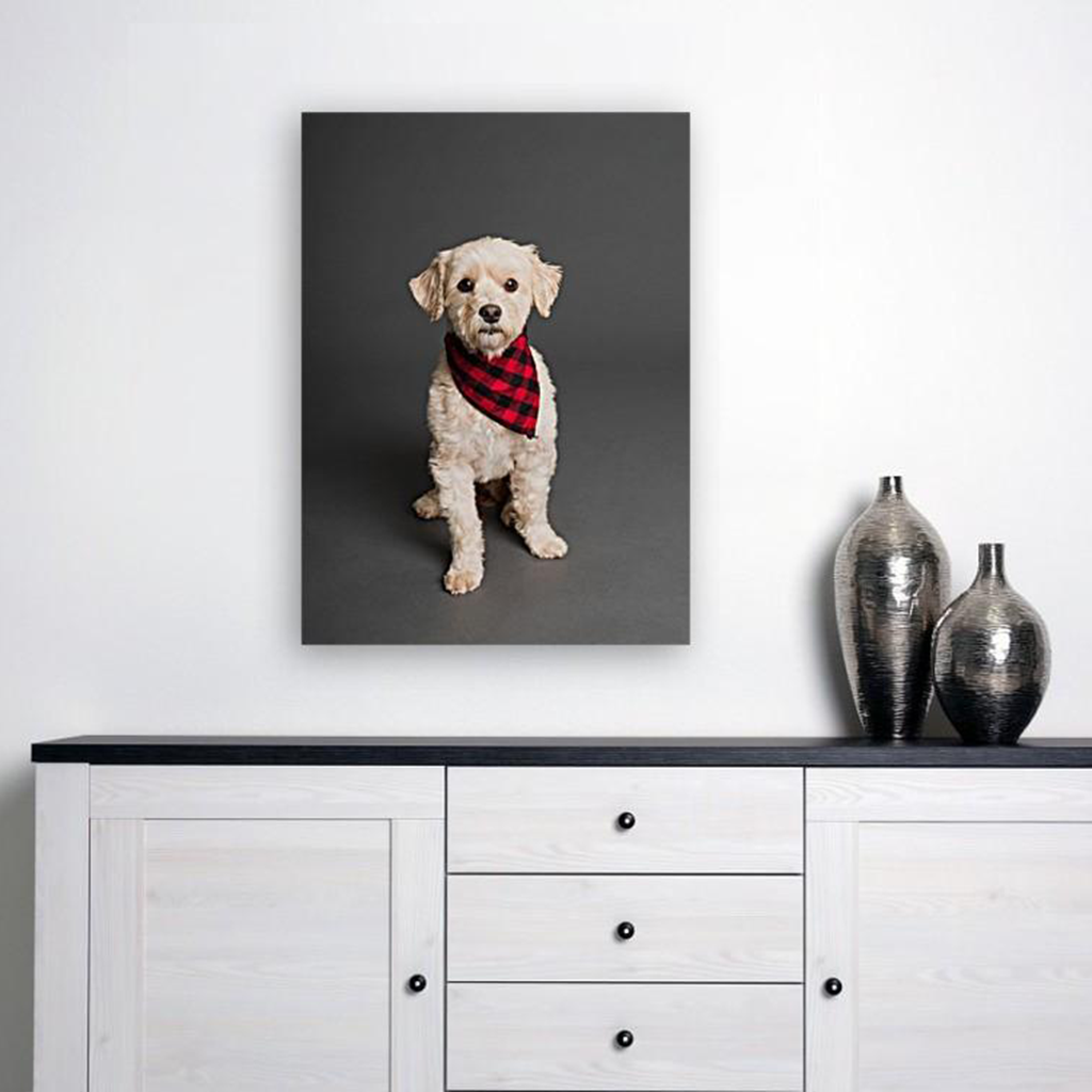 ANI-25 Natural World Dog Print Wall Art Décor Picture Framed