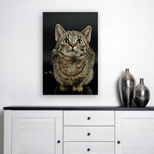 Load image into Gallery viewer, ANI-26 Natural World Cat Print Wall Art Décor Picture Framed
