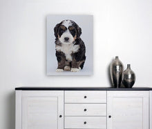 Lade das Bild in den Galerie-Viewer, ANI-27 Natural World Dog Print Wall Art Décor Picture Framed
