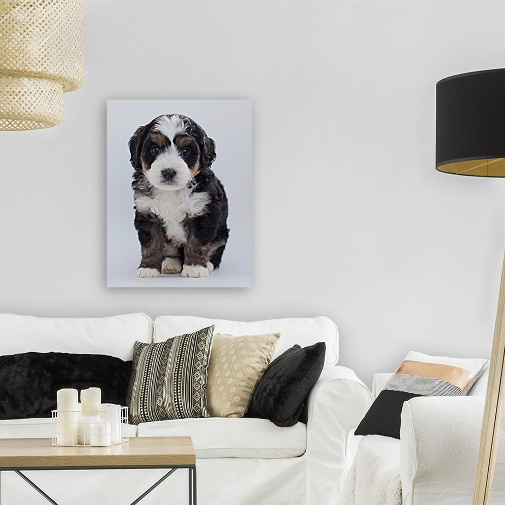 ANI-27 Natural World Dog Print Wall Art Décor Picture Framed