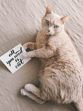 Load image into Gallery viewer, ANI-29 Natural World Cat Print Wall Art Décor Picture Framed
