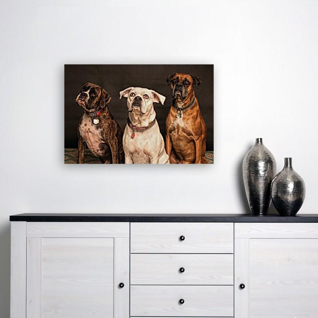 ANI-30 Natural World Dogs Print Wall Art Décor Picture Framed