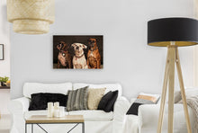 Load image into Gallery viewer, ANI-30 Natural World Dogs Print Wall Art Décor Picture Framed
