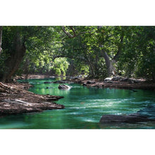 Load image into Gallery viewer, LD-07 Nature &amp; Landscape - Art Prints, Illustrations, Art Posters With Frame

