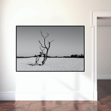 Lade das Bild in den Galerie-Viewer, LD-18 Nature &amp; Landscape - Art Prints, Illustrations, Art Posters With Frame
