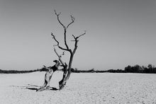 Lade das Bild in den Galerie-Viewer, LD-18 Nature &amp; Landscape - Art Prints, Illustrations, Art Posters With Frame
