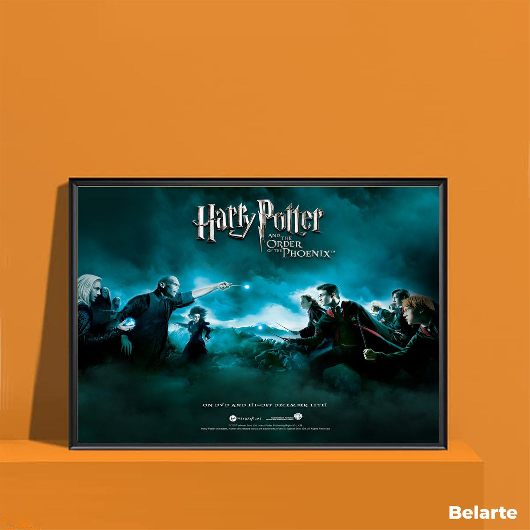 CM 08 Vintage Classic Movie Posters Harry Potter and the order of the Phoenix